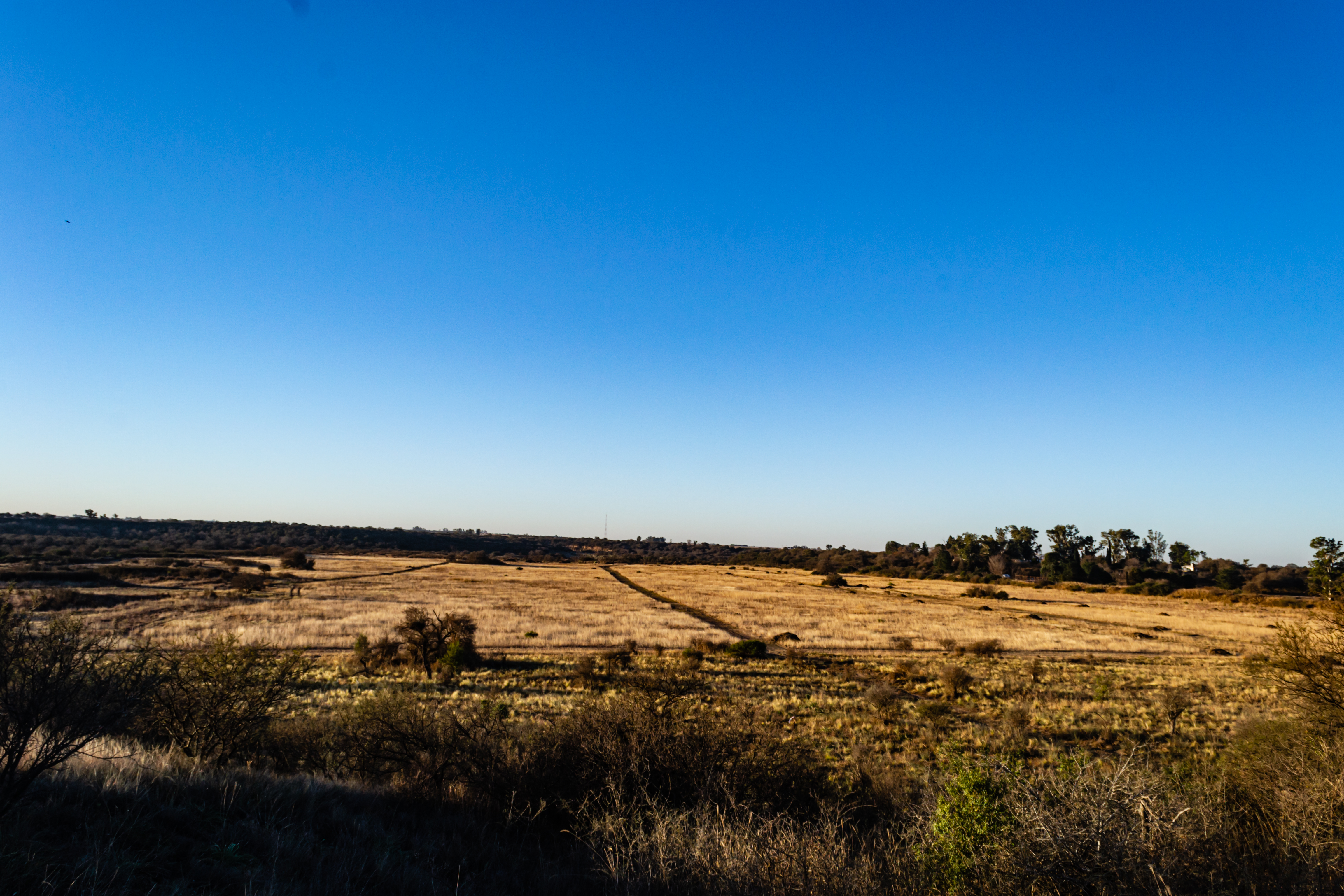 Paisaje
