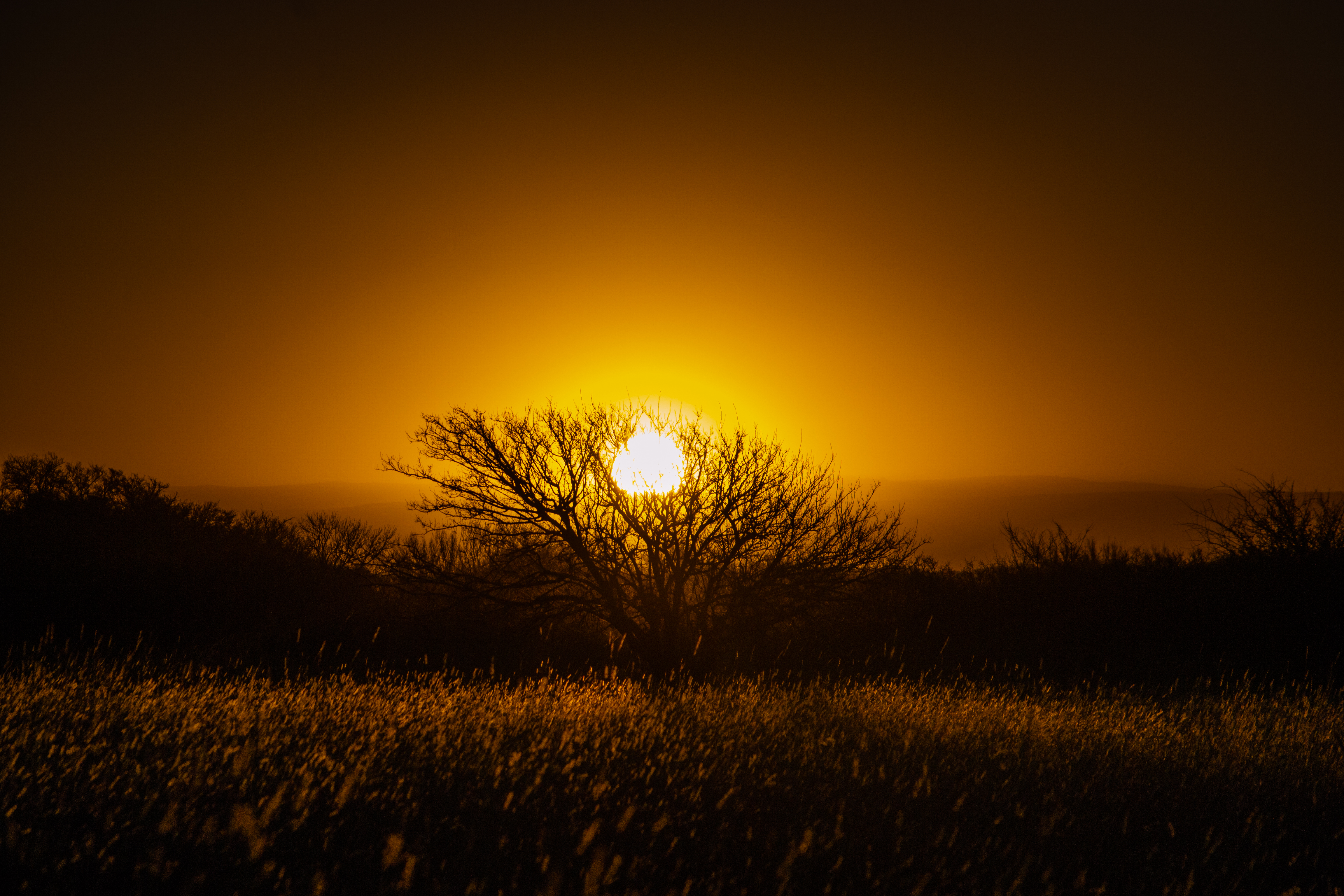 Atardecer